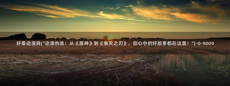 海贼王动漫：好看动漫网(\