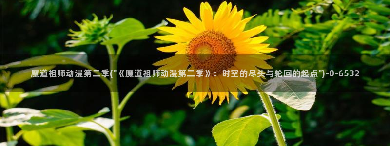 看动漫：魔道祖师动漫第二季(\