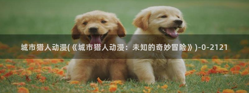 风车动漫：城市猎人动漫(《城市猎人动漫：未知的奇妙冒险》)